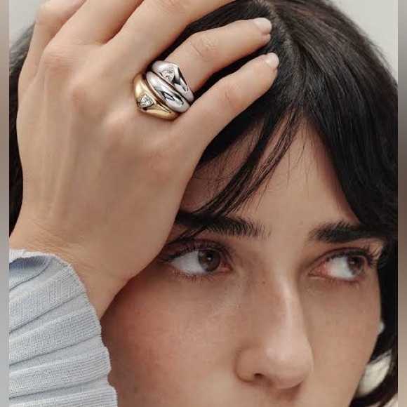 Dome nesting ring - Picture 2 of 7